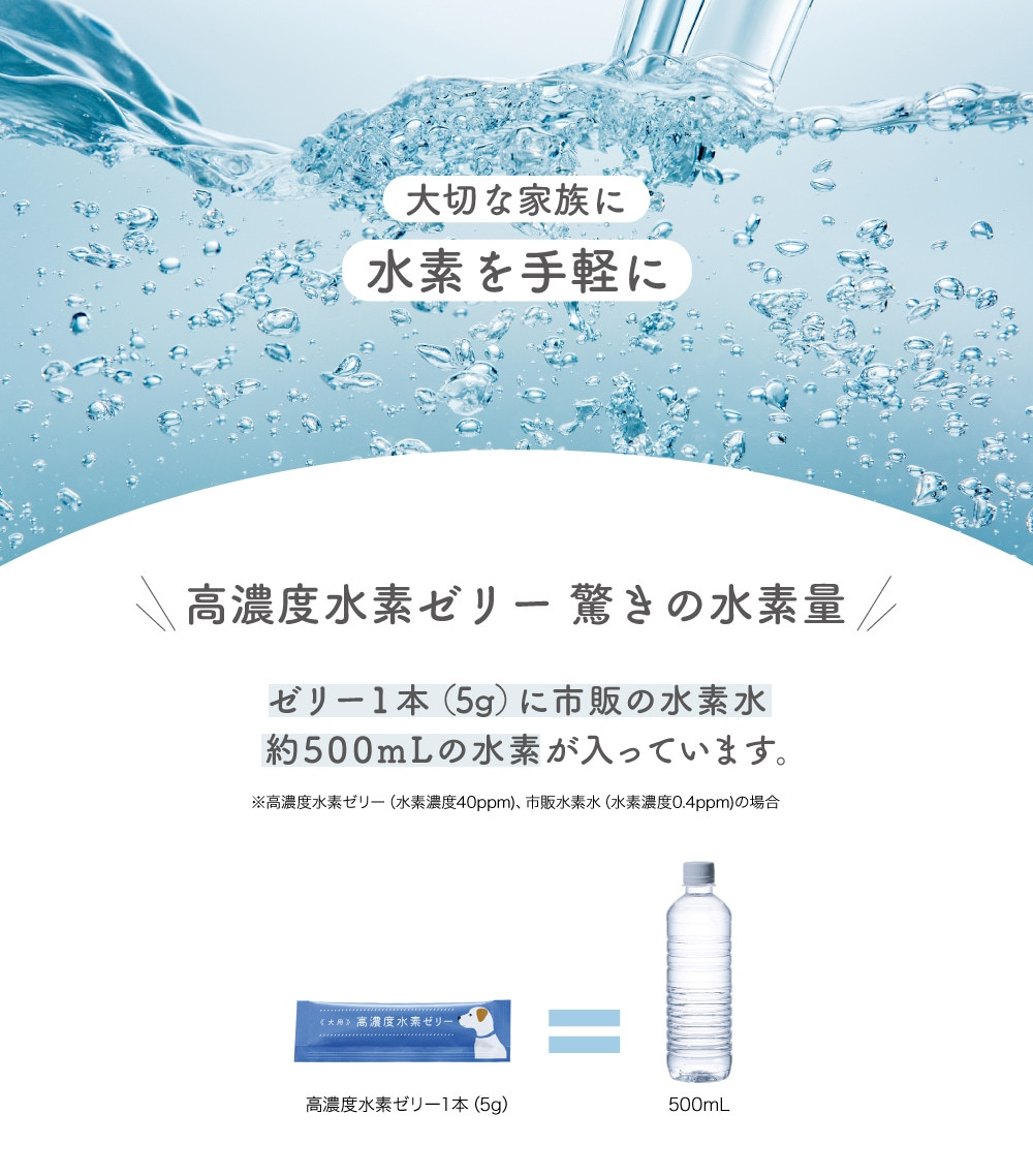 【6ヶ月定期便】 高濃度 水素ゼリー 犬用