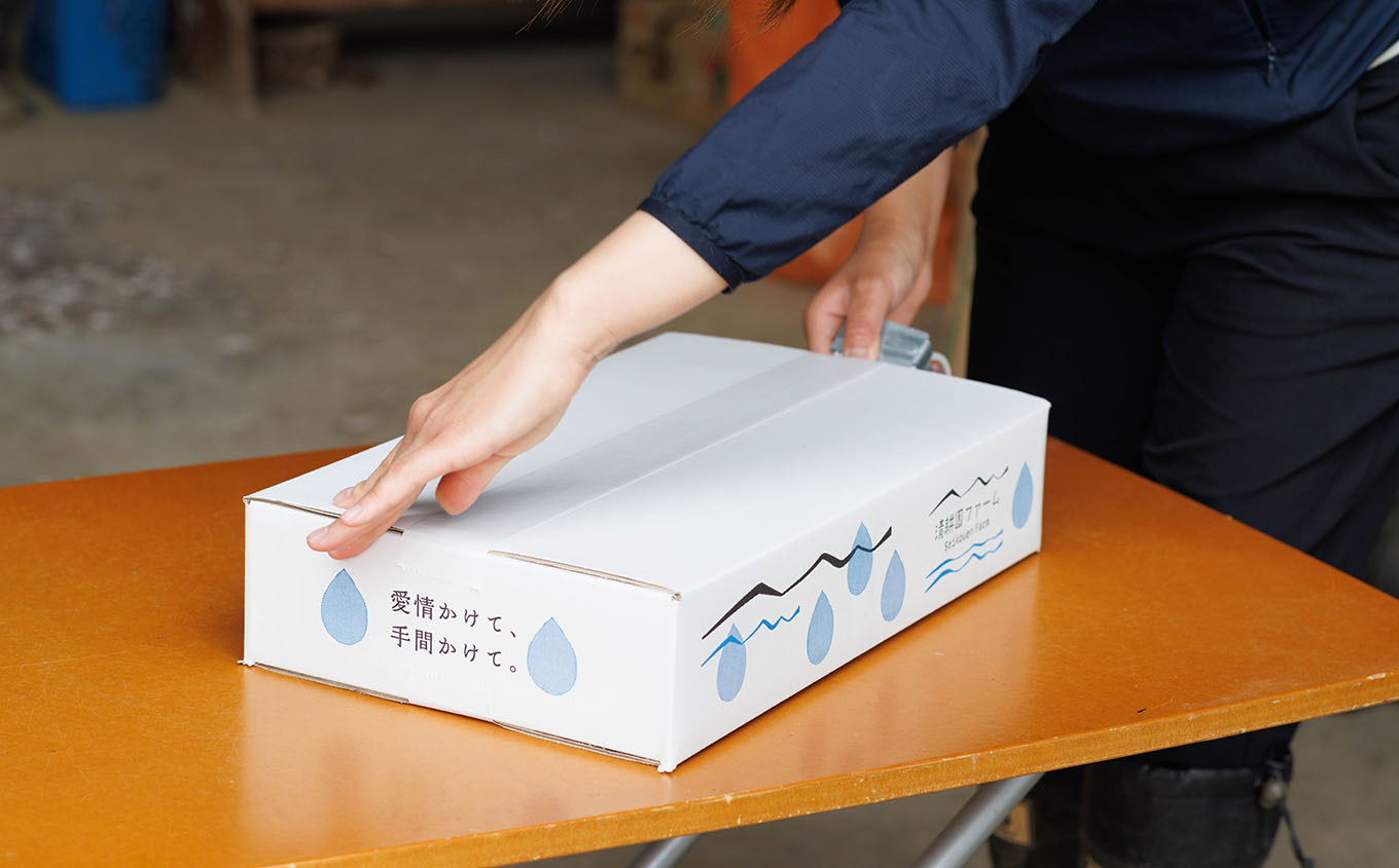 専用の化粧箱に入れてお届けします