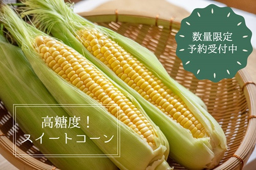 信州の環境に優しい農産物認定取得済み