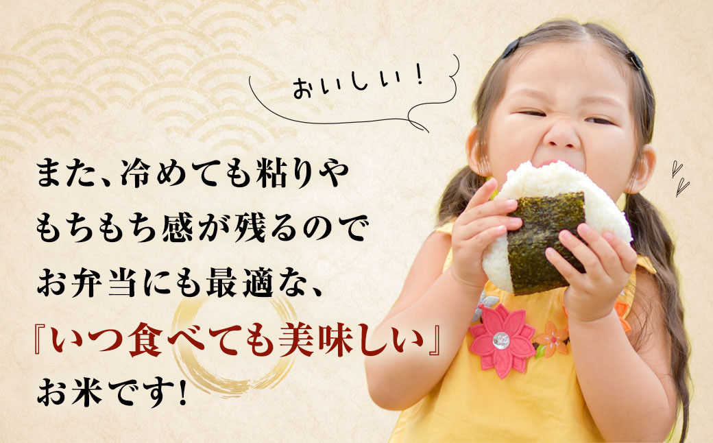 元気つくし 15kg 米 福岡 お米 こめ コメ 国産 九州