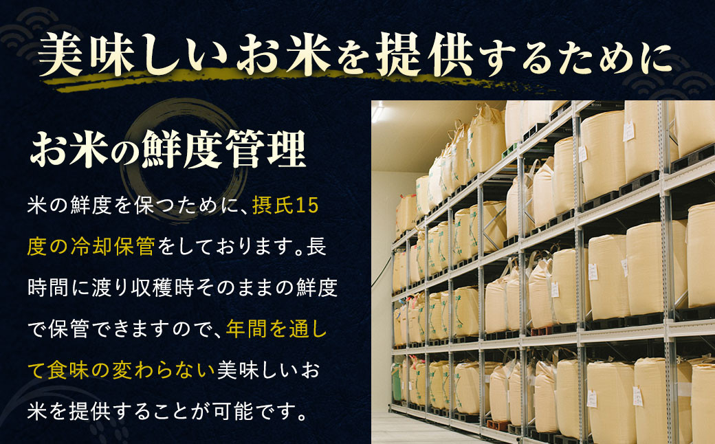 元気つくし 15kg 米 福岡 お米 こめ コメ 国産 九州