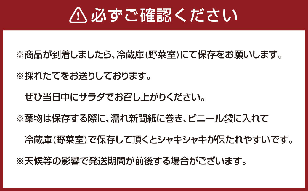 大分県産 フリルレタスちゃん 約4kg (10～12玉) 高原野菜