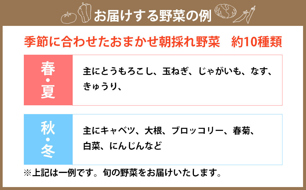 【奇数月定期便年6回】新鮮 直送 若松旬野菜セット 定期便 採れたて 旬野菜