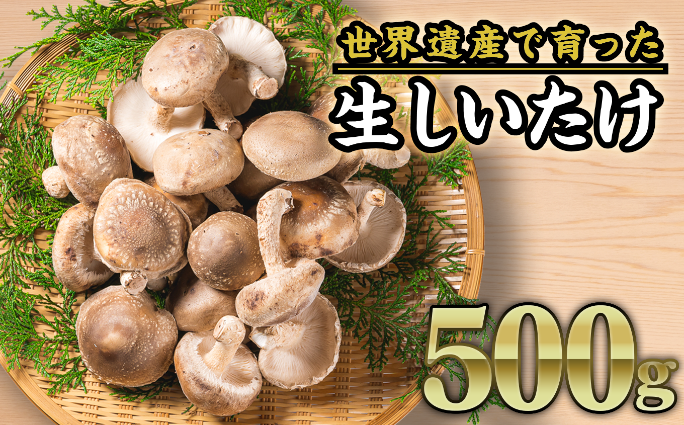 世界遺産「熊野古道」の麓で育てた!おいしい生シイタケを産地直送!