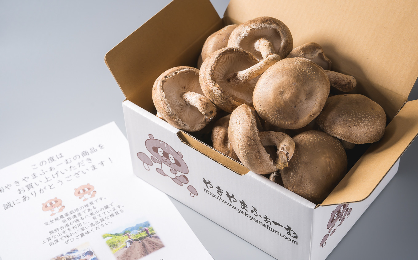 大きなサイズを選りすぐり!
専用の段ボールで約20個お送りします!