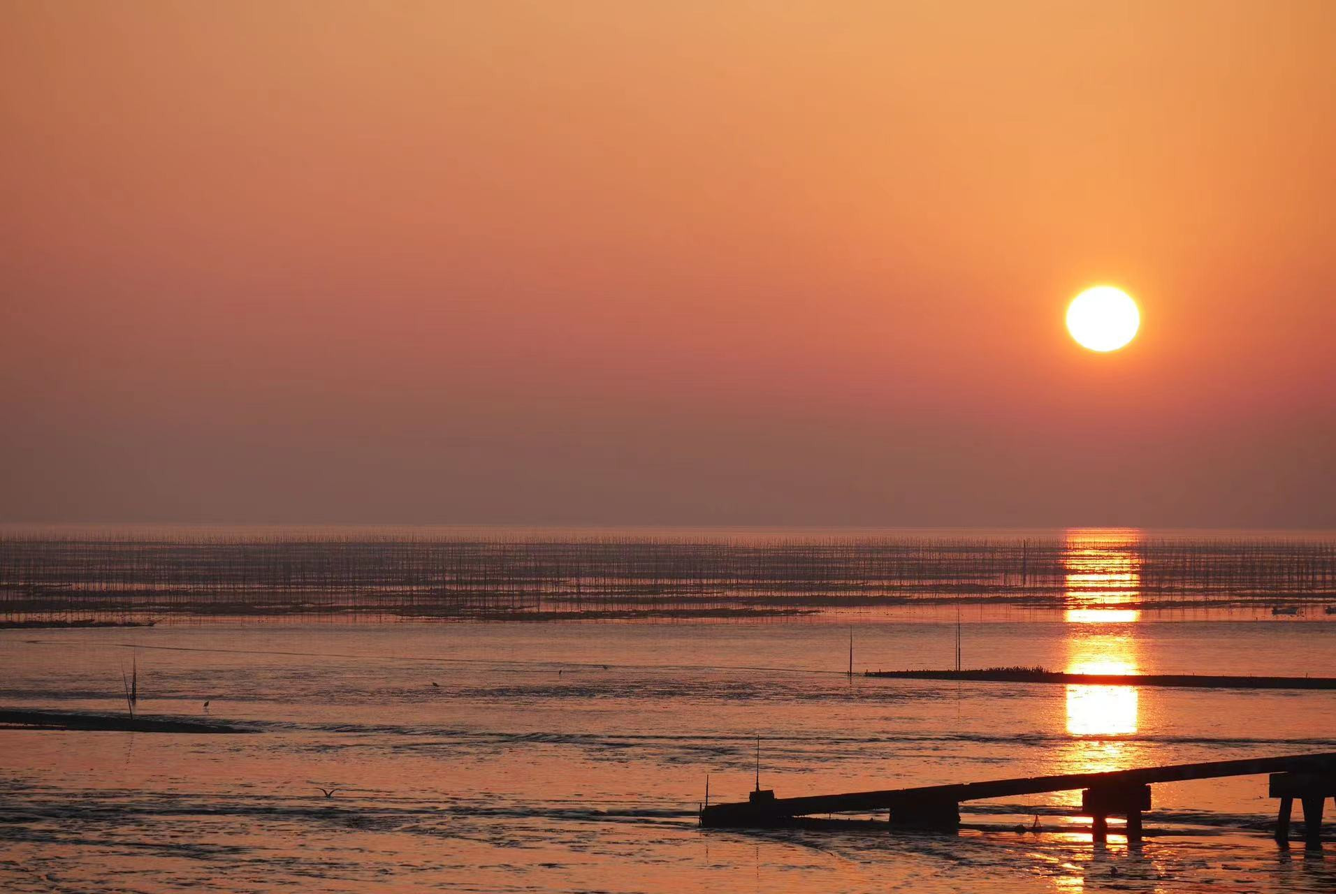 旨みたっぷりの海苔が生まれる有明海