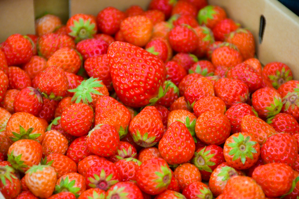 苺 いちご イチゴ ストロベリー 果物 くだもの ジャム 紅ほっぺ フルーツ