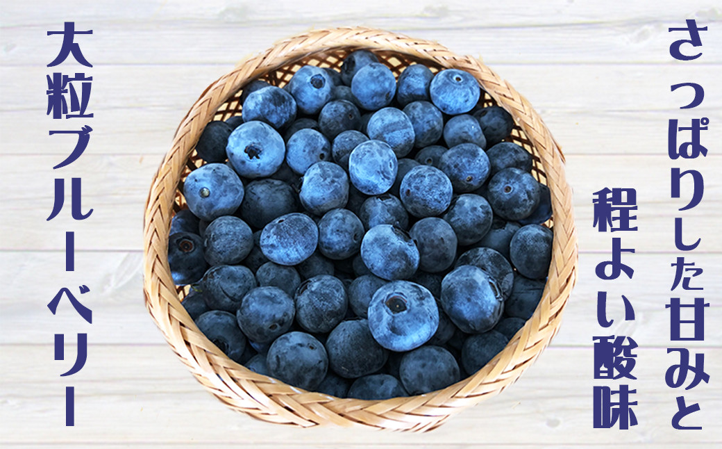大粒で、果皮が薄く酸味と甘みのバランスが良い「ハイブッシュ系ブルーベリー」を冷凍してお届けします。