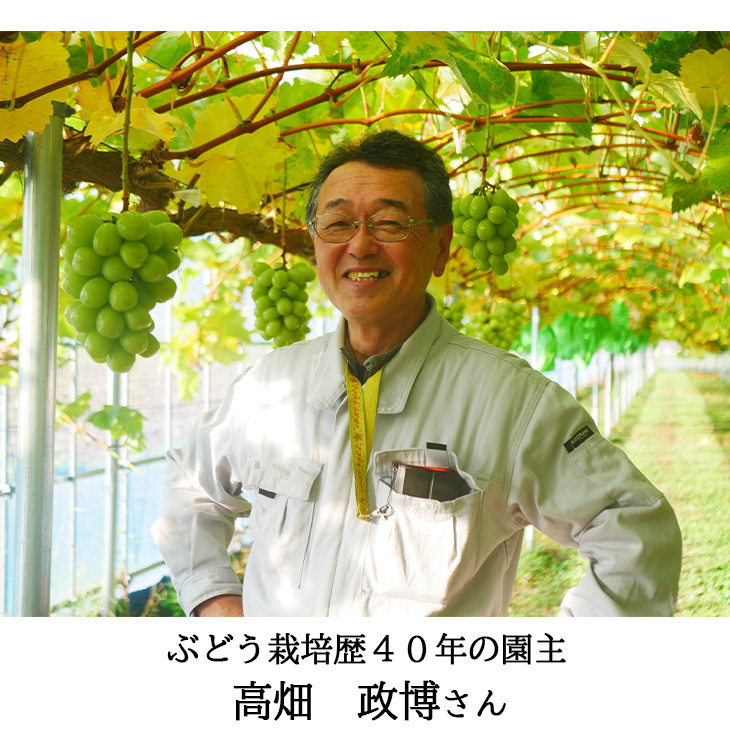 生産者の高畑　政博さん