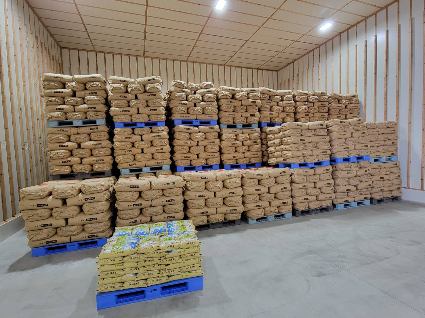 収穫後、適切な温度の倉庫で保管します。