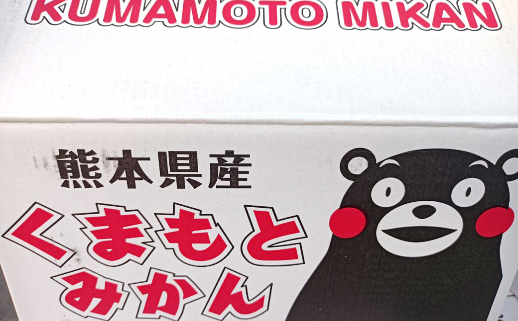 みかん 10kg(サイズ2L～2S) 蜜柑