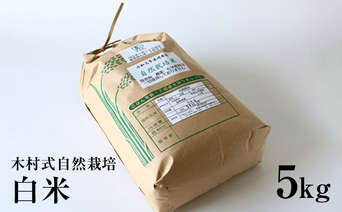 白米 米 ヒノヒカリ 5kg