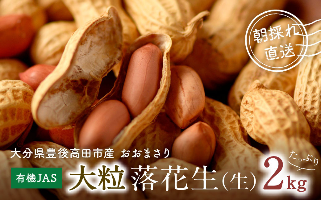 画像はイメージです。