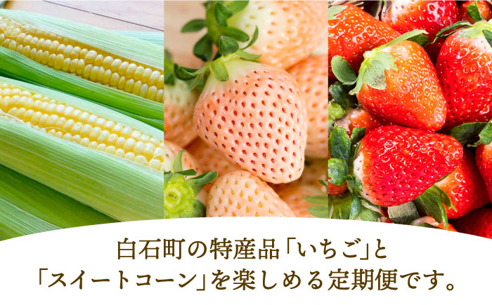 こだわりいちごととうもろこしの堪能セット！