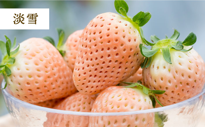 こだわりいちごととうもろこしの堪能セット！