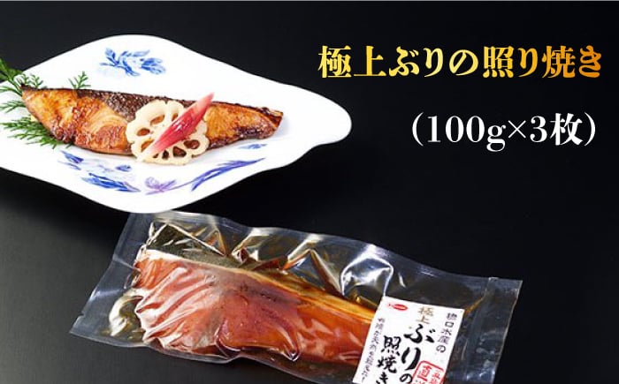 ブリ 漬け魚 3種 詰め合わせ みりん干し 照り焼き 西京焼き 上五島