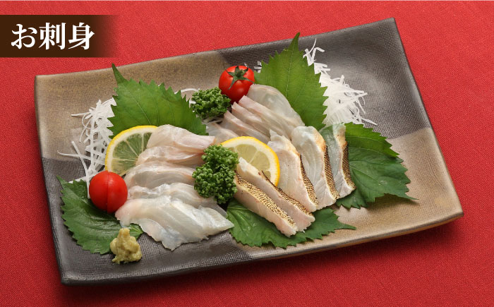 海鮮 新鮮 刺身 鍋 五島 クエ鍋 鮮魚 正月 海鮮鍋