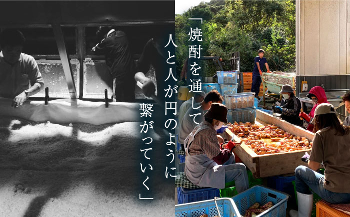 本格芋焼酎 明治之芋五島灘 1800ml / 酒 芋焼酎 いも 五島灘 五島灘酒造