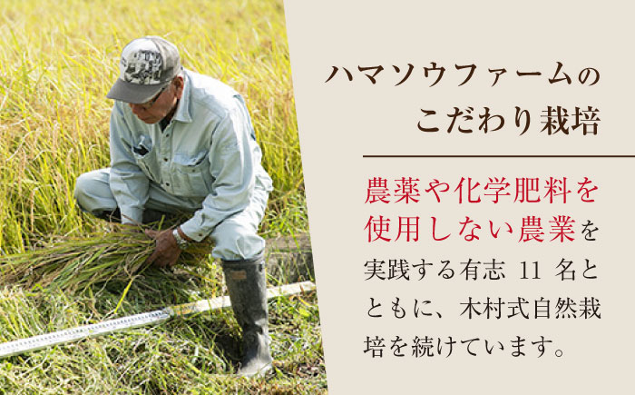 白米 くまみのり 約 10kg