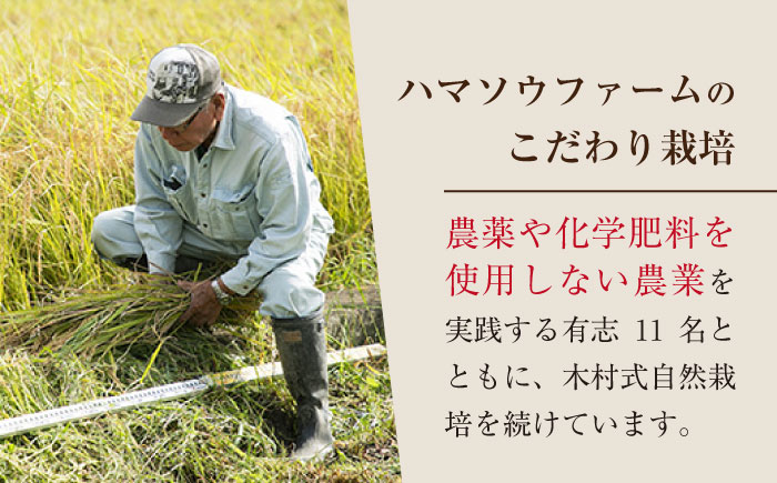 白米 くまみのり 約 5kg