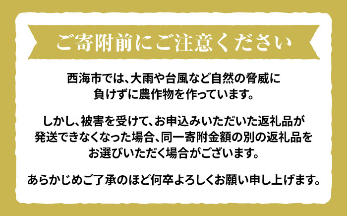  白米 くまみのり 約 5kg 