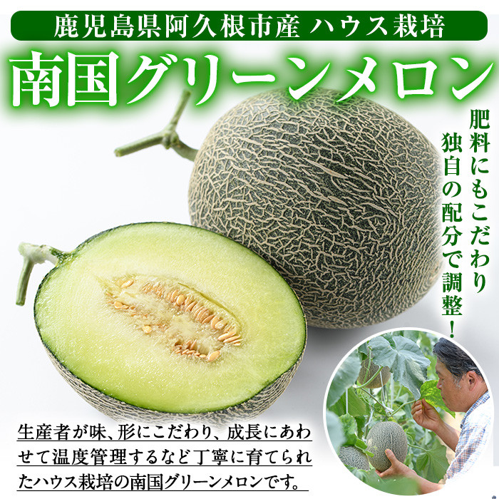 南国グリーンメロン