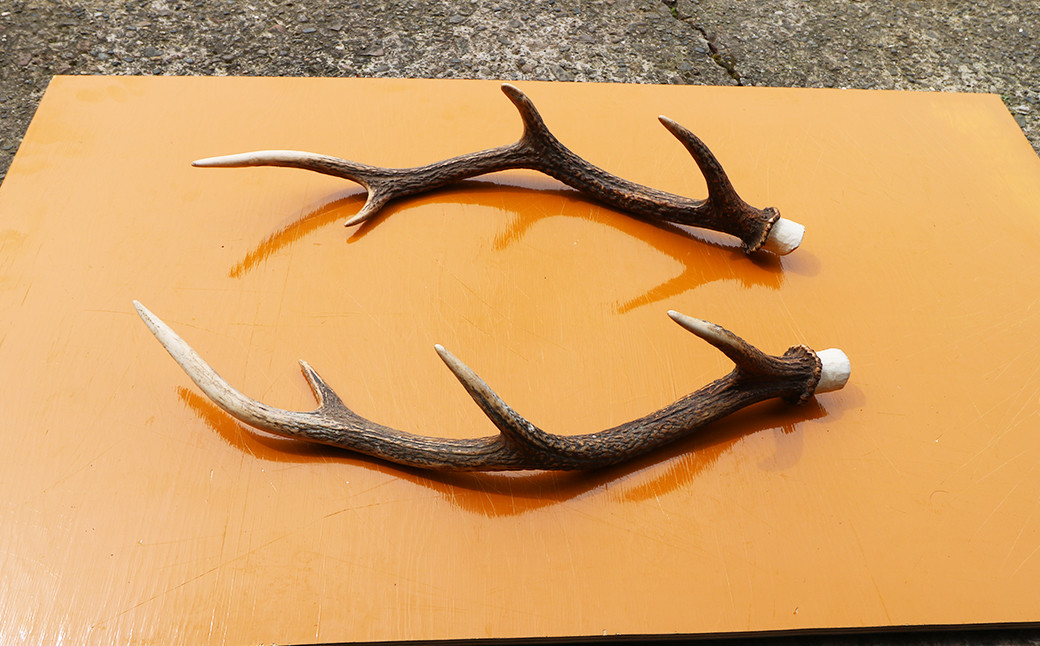 角の先端が鋭利な場合がございますので、取り扱いにはご注意ください。