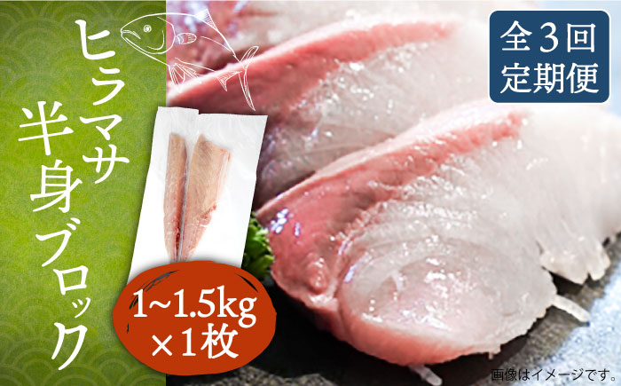 ヒラマサ ひらまさ フィレ 柵 魚介 海鮮 海の幸 切り身 柵 おすすめ オスス