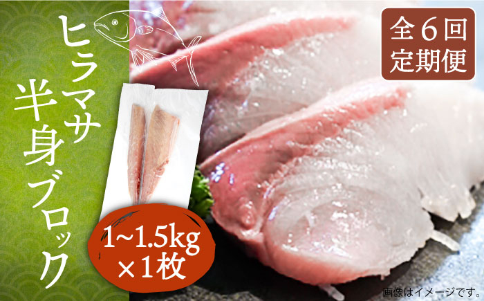 ヒラマサ ひらまさ フィレ 柵 魚介 海鮮 海の幸 切り身 柵 おすすめ オスス