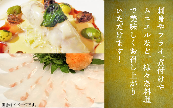 刺身 魚介 ブロック 海鮮 鮮魚 新鮮 海鮮丼 冷凍 壱岐島 長崎