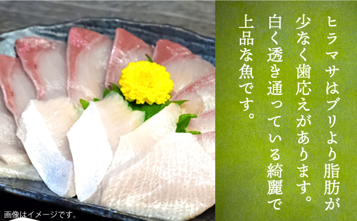 ヒラマサ ひらまさ フィレ 柵 魚介 海鮮 海の幸 切り身 柵 おすすめ オスス