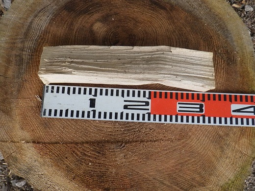 長さ(約30cm)