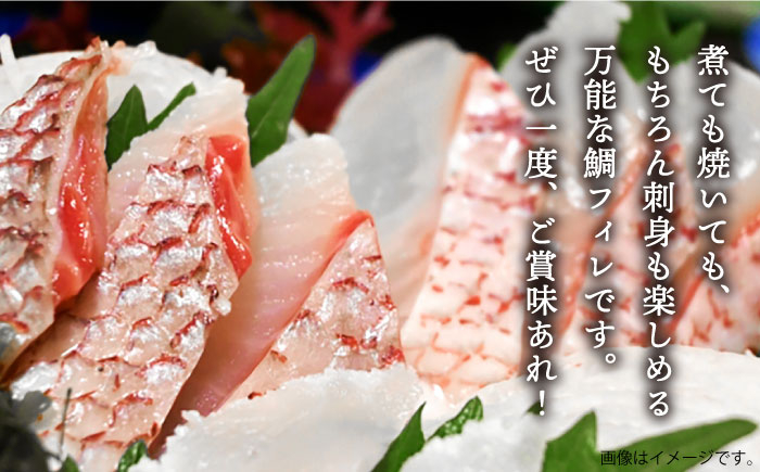 鯛 たい タイ フィレ 海鮮 魚介 海の幸 切り身 柵 おすすめ オススメ 絶品