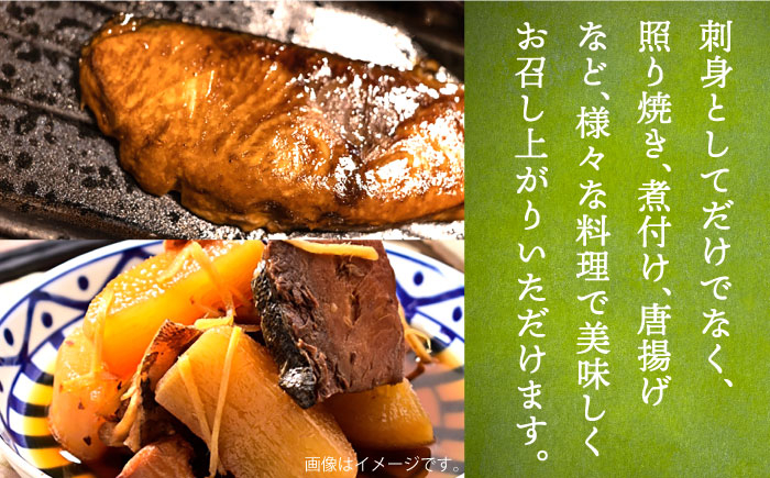 ヒラマサ ひらまさ フィレ 柵 魚介 海鮮 海の幸 切り身 柵 おすすめ オスス