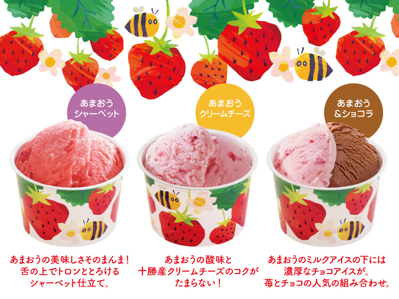 博多あまおうの こだわりアイス 3種 計12個 セット