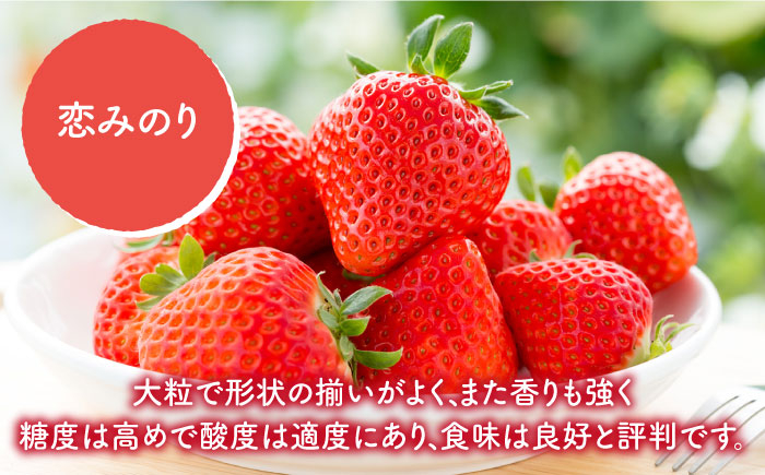 はるな愛様専用☆高知県産 コシヒカリ 玄米 30kgの+moodleilud