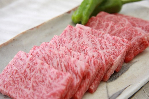 きめ細かい霜降りが特徴の奥出雲和牛肉。