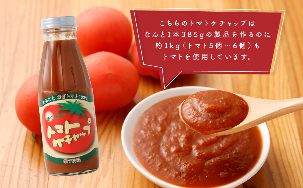 トマトケチャップ 3本セット 385g×3本