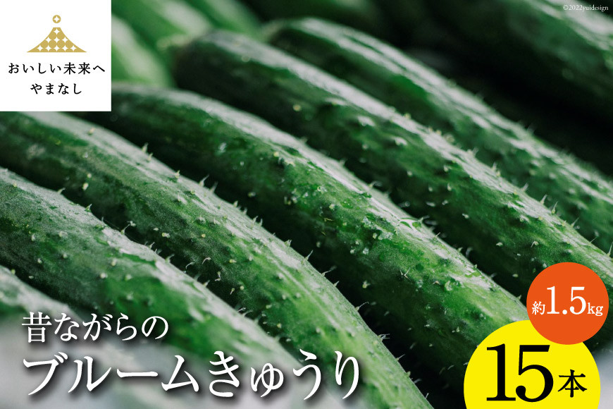 昔ながらのブルームきゅうり 15本(約1.5kg)