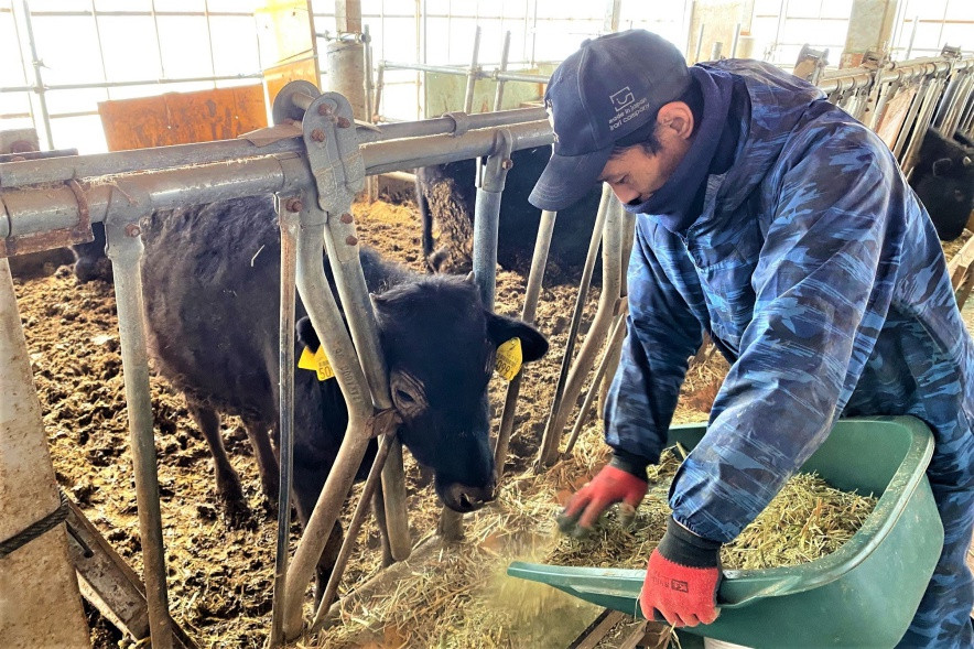 餌に含まれる栄養や、与える量にもこだわっています。
