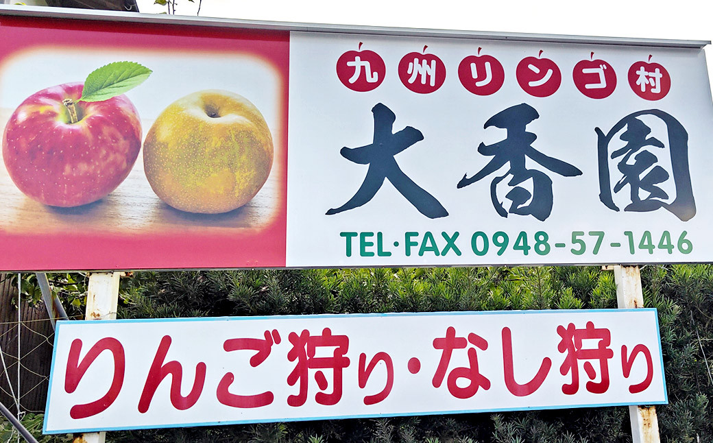  大香園の梨 3.0kg