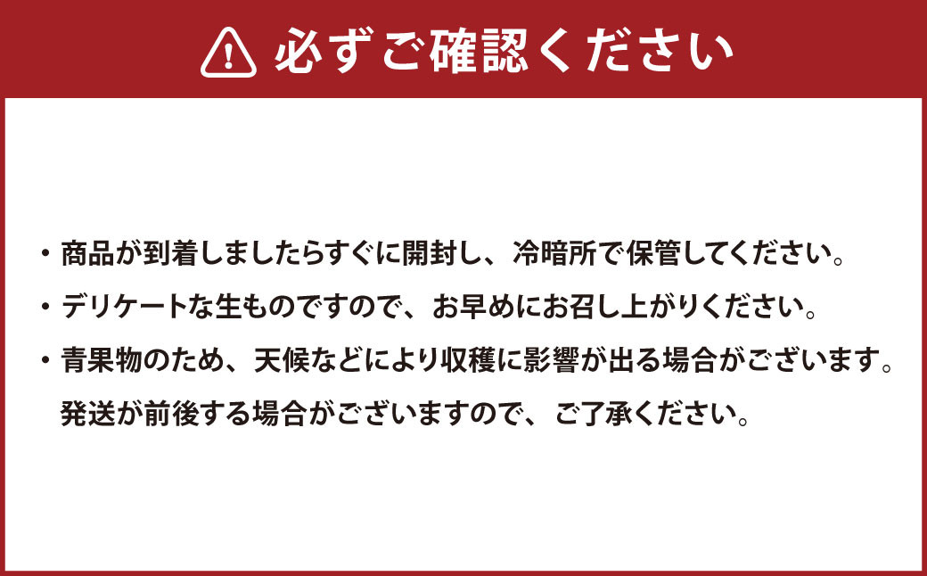 熊本県産　濃蜜みかん 計8㎏（50～90玉／２L～Sサイズ）