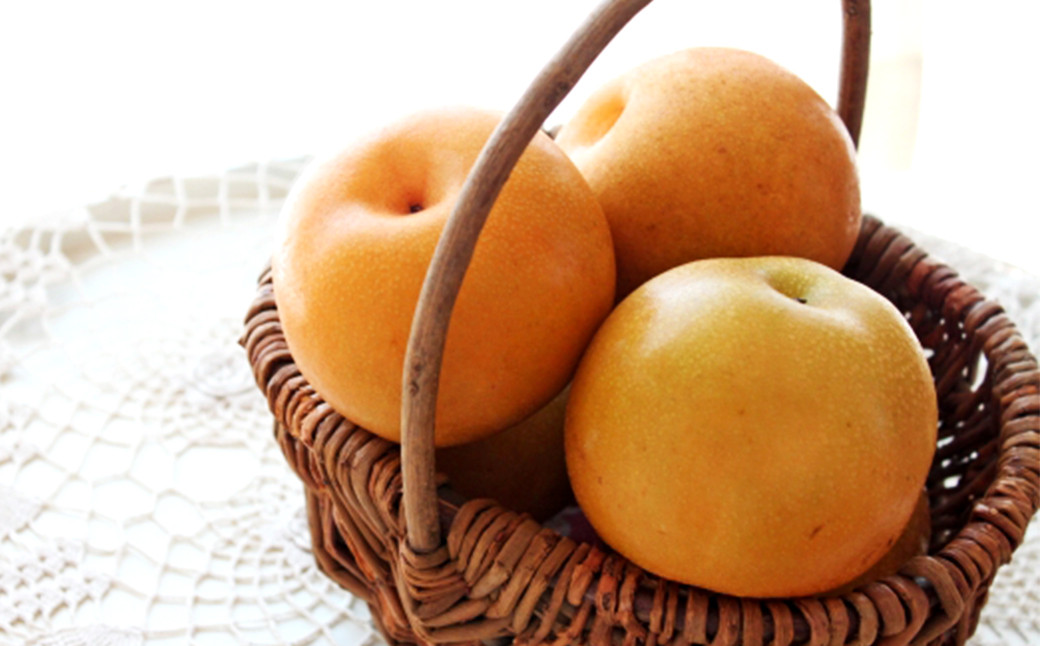 【2022年8月上旬発送】「先行予約」熊本市産 豊水梨 約5kg