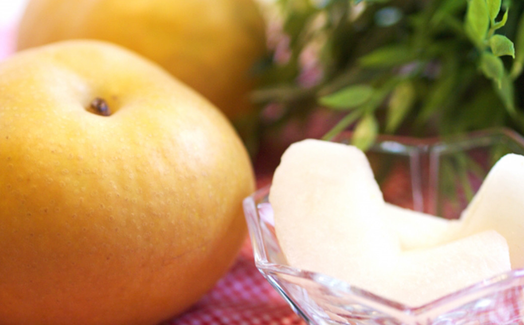 「先行予約」熊本市産 新高梨 約5kg