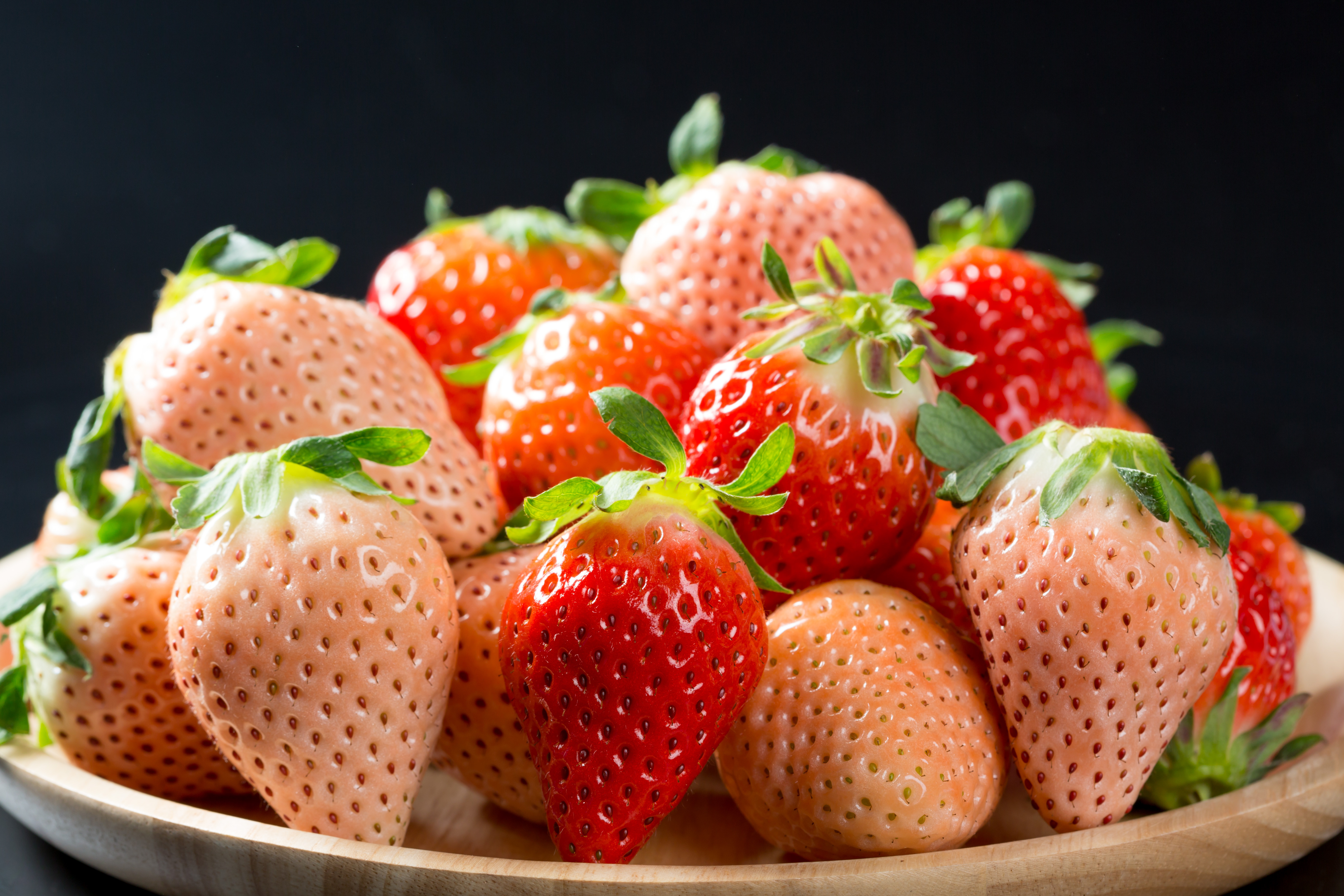 ※写真はイメージです