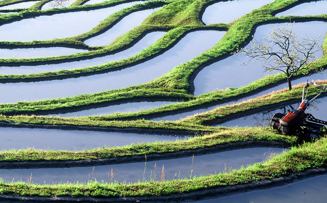 ２つの山系からもたらされる湧き水と天水（雨水）により育てられた美味しいお米です。
