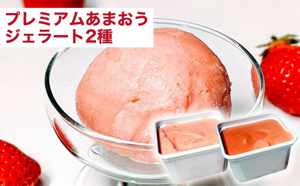 【予約受付・4回定期便】あまおう大好き定期便