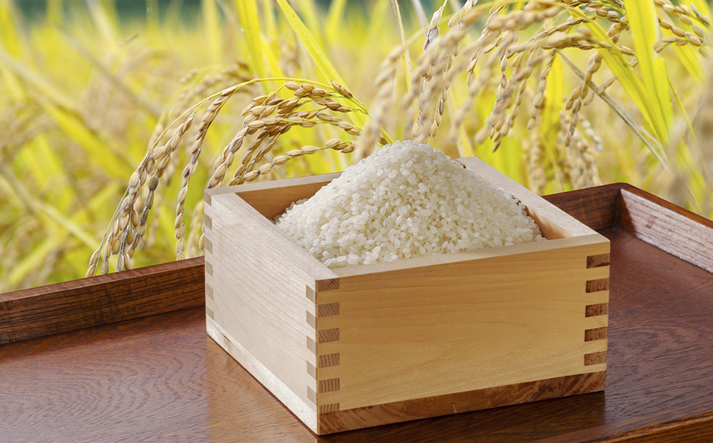 棚田米は鴨川市大山地区の農家さんから直接仕入れた「未検査米」です。