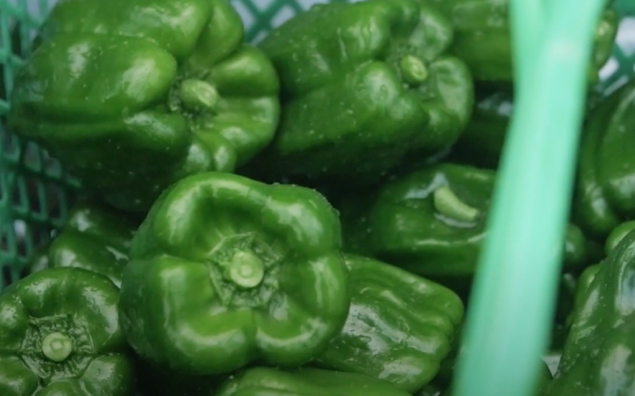 C-44 季節の里山野菜 冷蔵 ※画像はイメージです