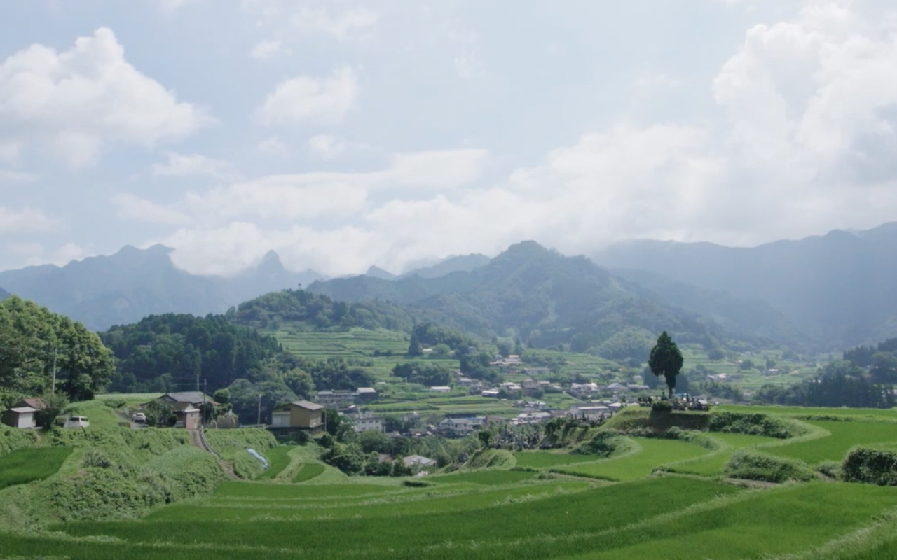 C-44 季節の里山野菜 冷蔵 ※画像はイメージです